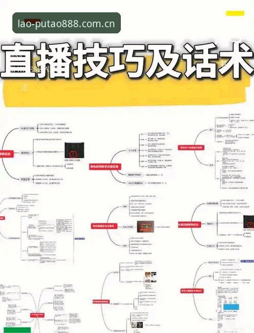新葡萄特色版存储权限手动授予安装教程：从入门到精通的完整指南